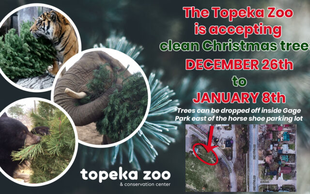 Topeka Zoo Post Holiday Tree Recycling Program.