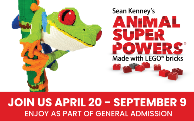 The Topeka Zoo welcomes Sean Kenney’s Animal Superpowers® made with Lego® Bricks